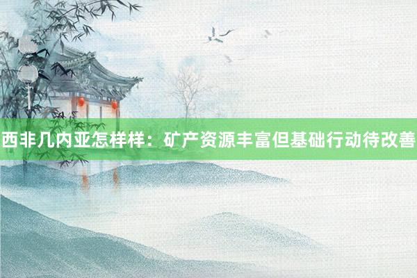 西非几内亚怎样样：矿产资源丰富但基础行动待改善